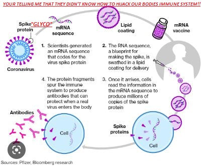 your telling me they didn't know how to hijack our bodies immune system...if you think this you have been living in a hole
