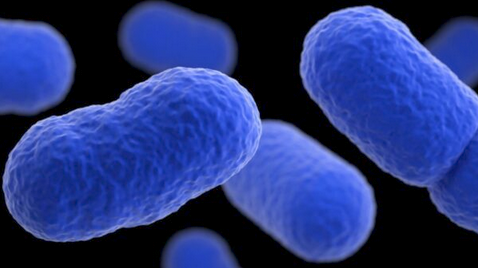 Listeria Contamination - POS Pfizer Vaccine Injury - February 06, 2023