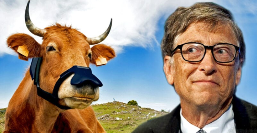 ‘Smart’ Masks for Cows? Gates Invests $4.7 Million in Data-Collecting Faceware for Livestock - POS Pfizer Vaccine Injjury - March 19, 2023