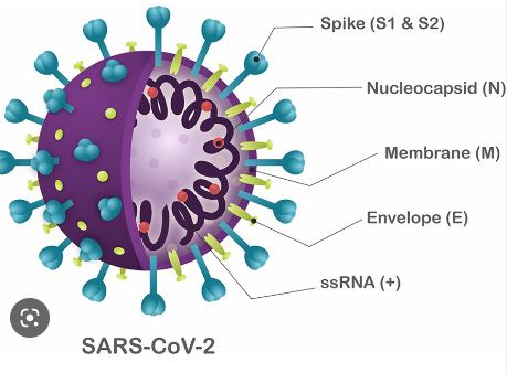 SARS-CoV-2- My Pfizer Vaccine Injury Update - October 10, 2022